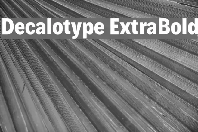 Decalotype ExtraBold Example 2