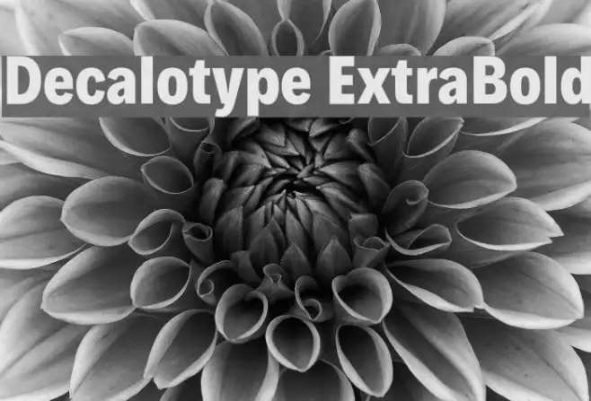 Decalotype ExtraBold Example 3