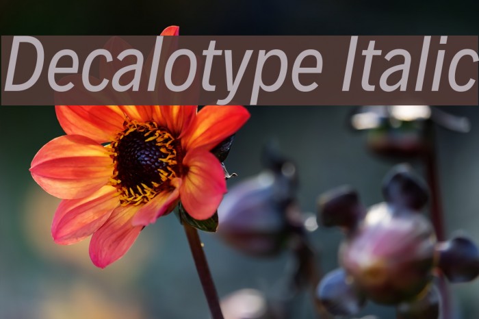 Decalotype Italic Example 2