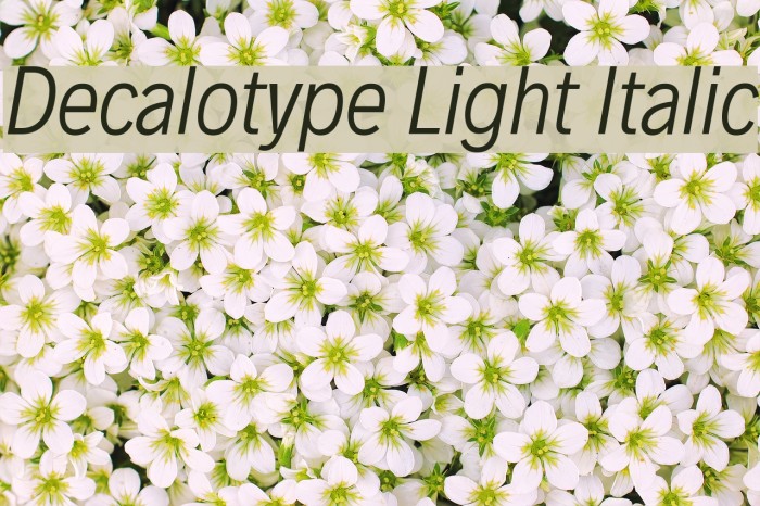 Decalotype Light Italic Example 1
