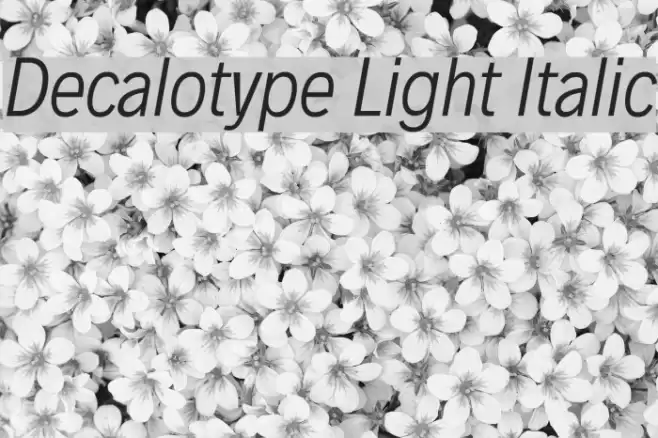 Decalotype Light Italic Font examples