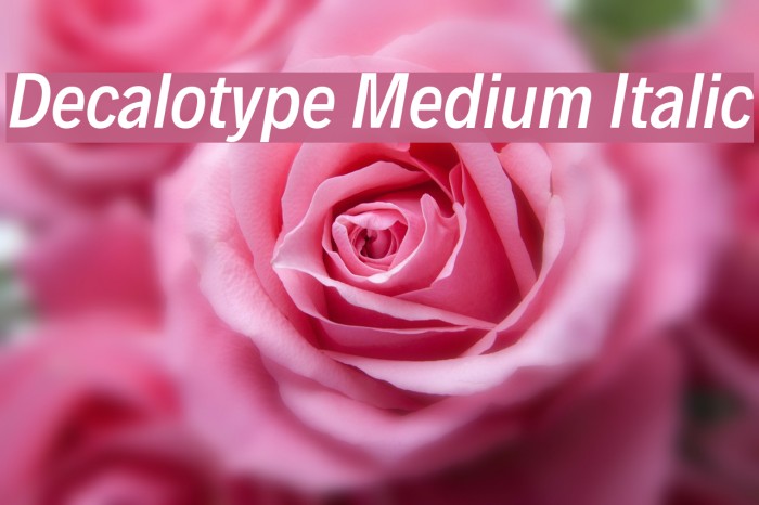 Decalotype Medium Italic Example 1