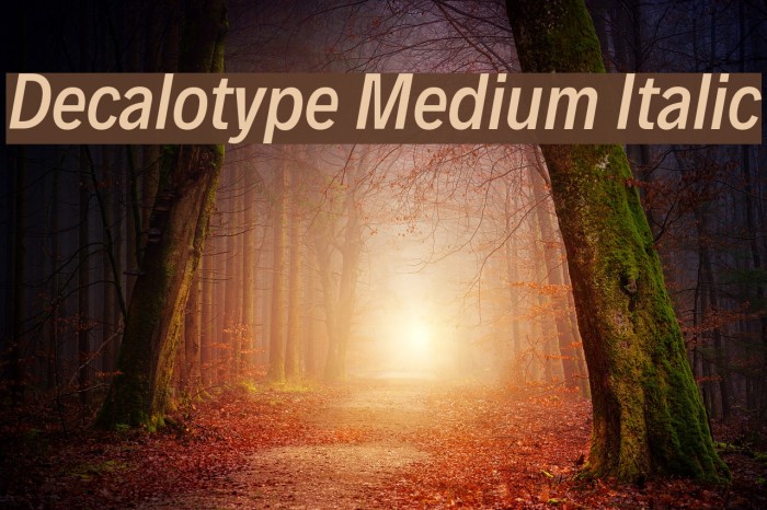 Decalotype Medium Italic Example 2
