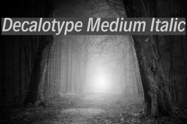 Decalotype Medium Italic Font examples
