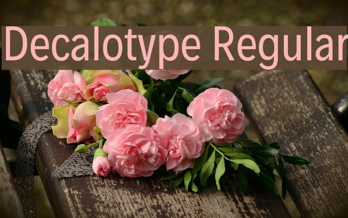 Decalotype Regular Font examples