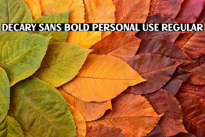 Decary Sans Bold PERSONAL USE Regular Example 2