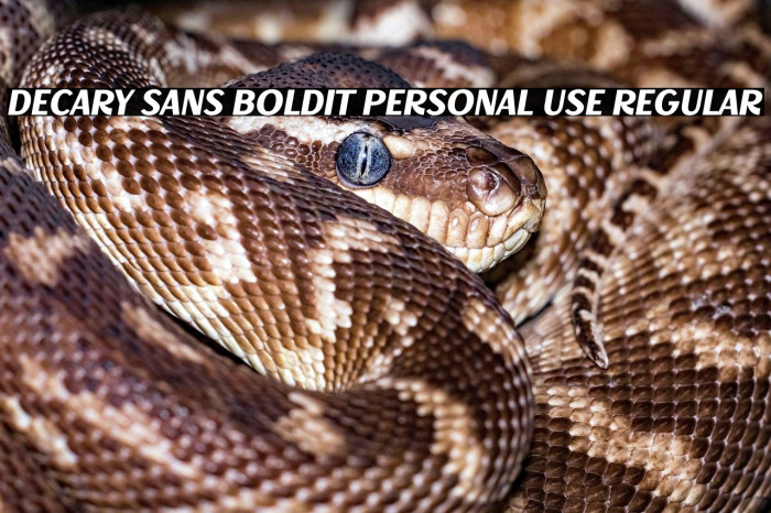 Decary Sans BoldIt PERSONAL USE Regular Example 1