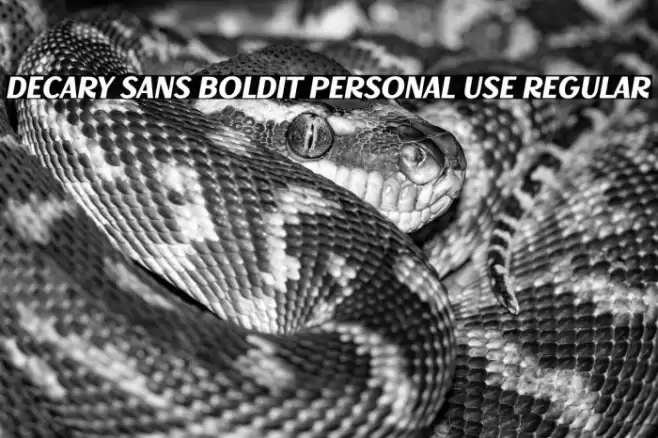Decary Sans BoldIt PERSONAL USE Regular Font examples