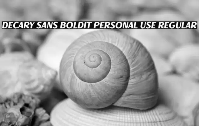 Decary Sans BoldIt PERSONAL USE Regular Font examples