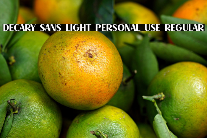 Decary Sans Light PERSONAL USE Regular Example 1