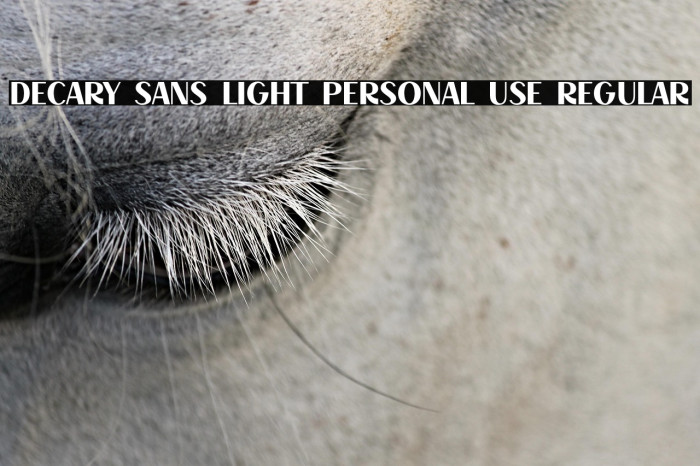 Decary Sans Light PERSONAL USE Regular Example 2