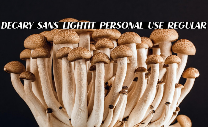 Decary Sans LightIt PERSONAL USE Regular Example 1