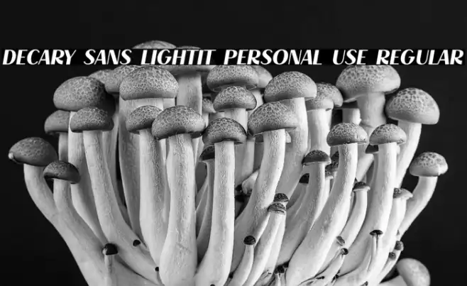 Decary Sans LightIt PERSONAL USE Regular Example 1