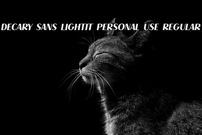 Decary Sans LightIt PERSONAL USE Regular Example 2