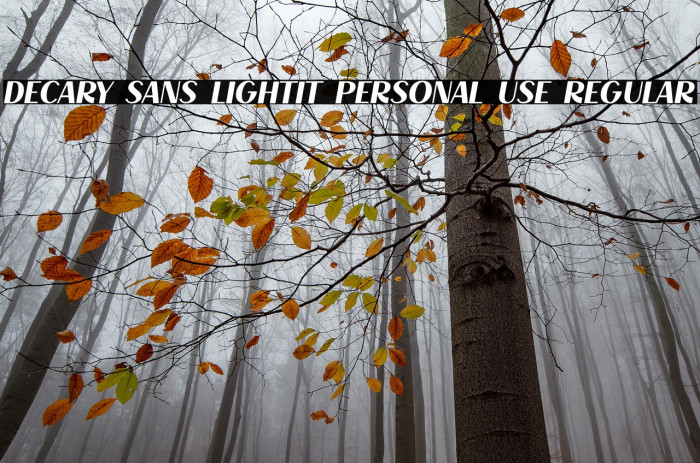 Decary Sans LightIt PERSONAL USE Regular Example 3