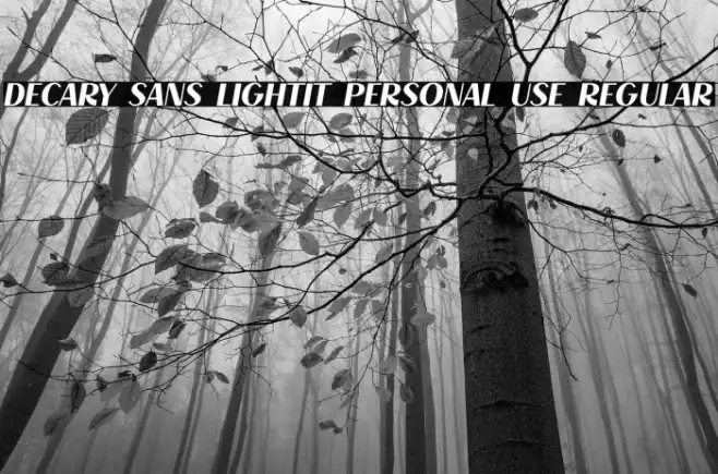 Decary Sans LightIt PERSONAL USE Regular Example 3