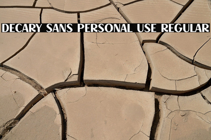 Decary Sans PERSONAL USE Regular Example 1