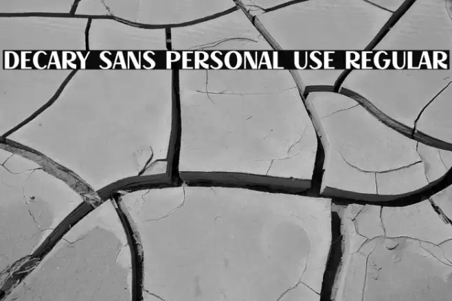 Decary Sans PERSONAL USE Regular Example 1
