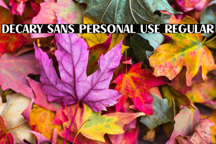 Decary Sans PERSONAL USE Regular Example 2