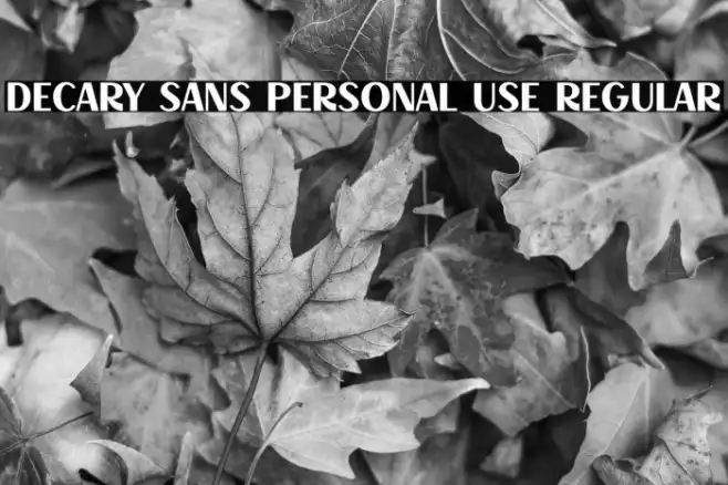 Decary Sans PERSONAL USE Regular Example 2