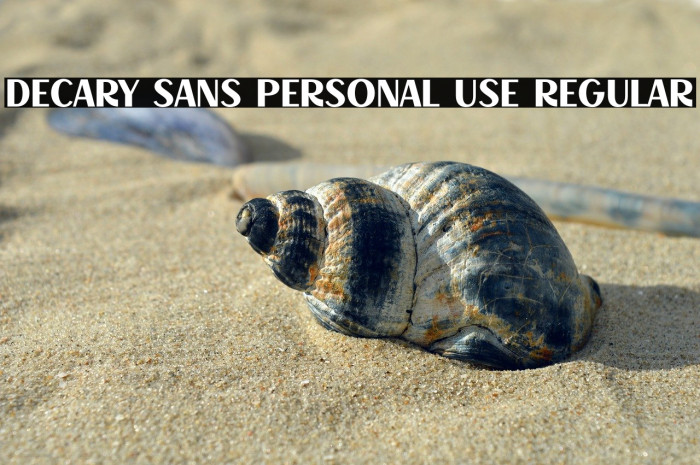 Decary Sans PERSONAL USE Regular Example 3