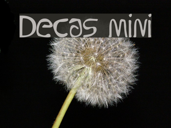 Decas mini Example 2