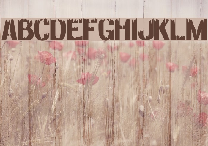 Decaying Alternate Font examples