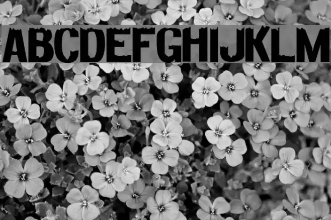 Decaying Fuentes examples