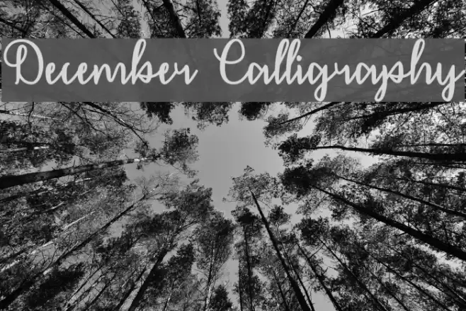 December Calligraphy フォント examples