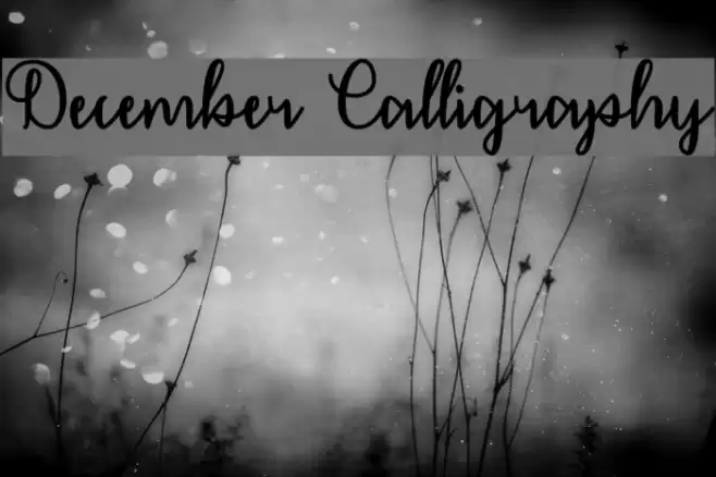 December Calligraphy フォント examples