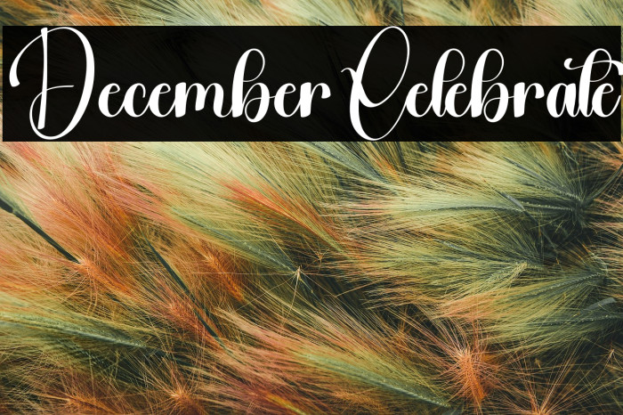 December Celebrate Example 1