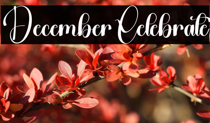 December Celebrate Example 2