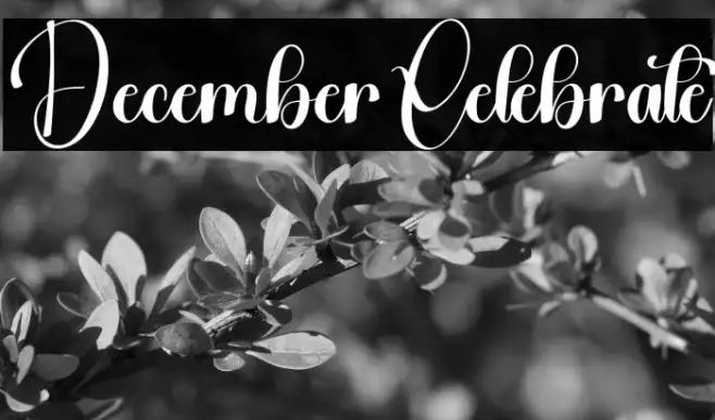 December Celebrate Example 2