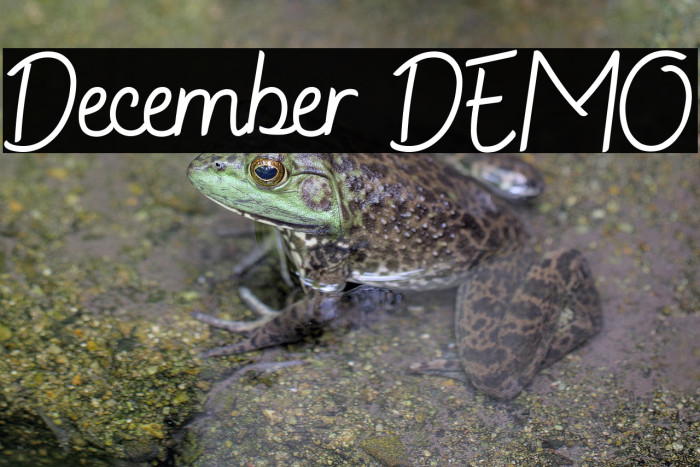 December DEMO Example 1