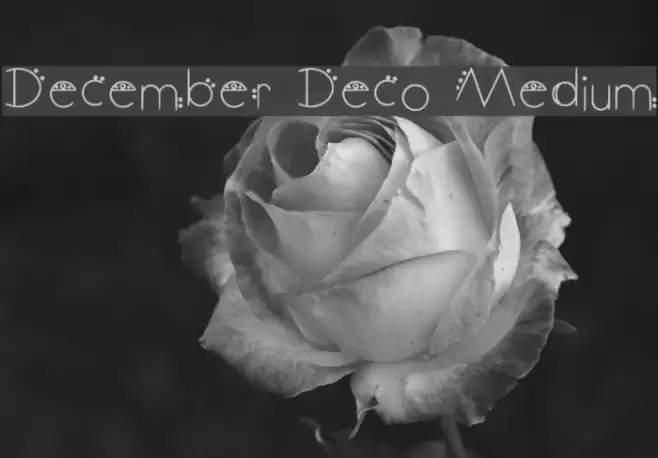 December Deco Medium Fonte examples