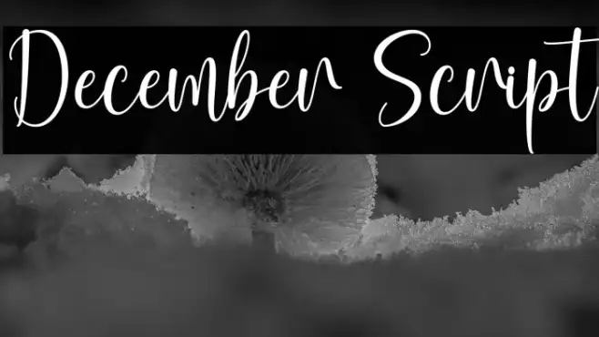 December Script Example 1