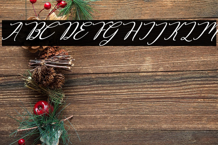 Decembery Italic Example 2