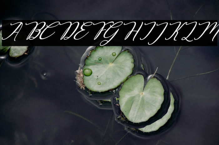 Decembery Italic Example 3