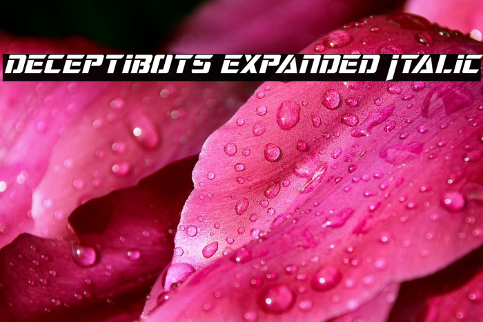 Deceptibots Expanded Italic Font examples
