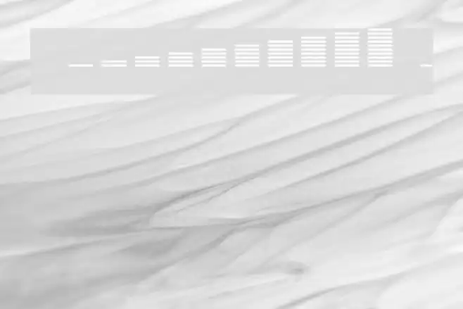 Decibel Dingbats Font examples