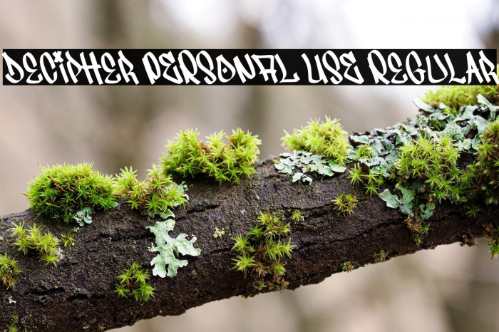 Decipher PERSONAL USE Regular Example 1