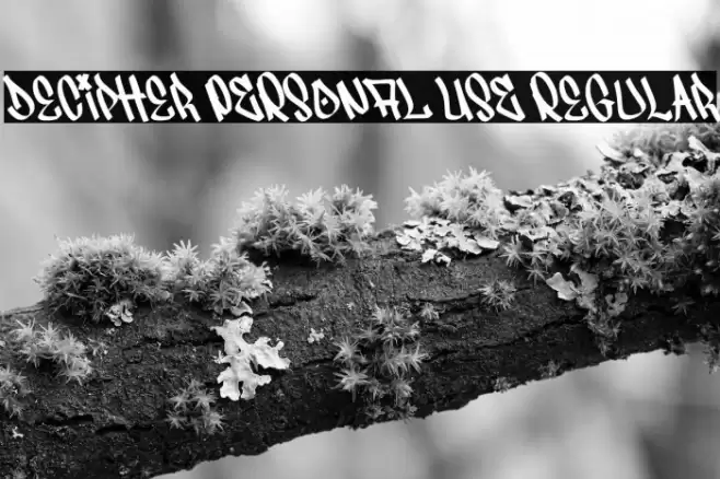 Decipher PERSONAL USE Regular Font examples