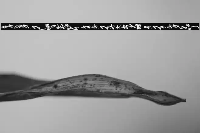 Decipher Symbols PERSONAL USE Regular Font examples