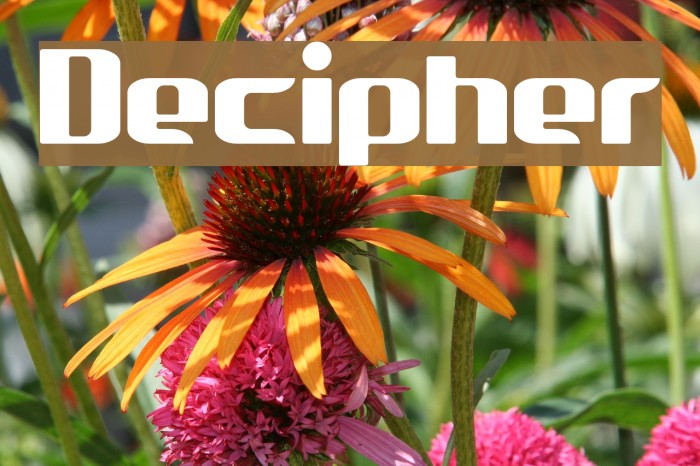 Decipher Font examples