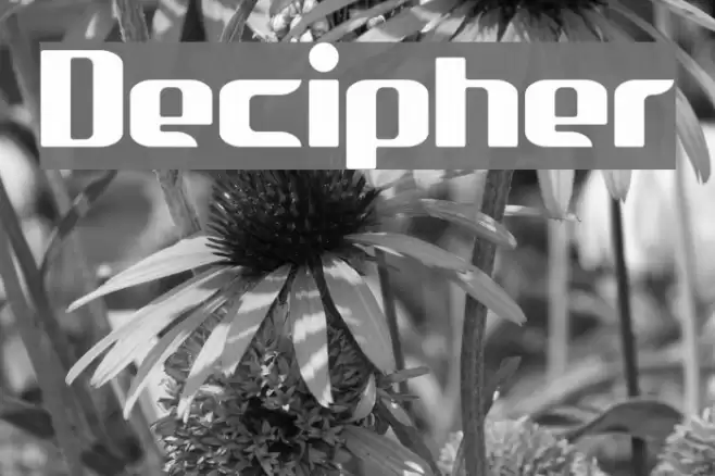 Decipher Fuentes examples