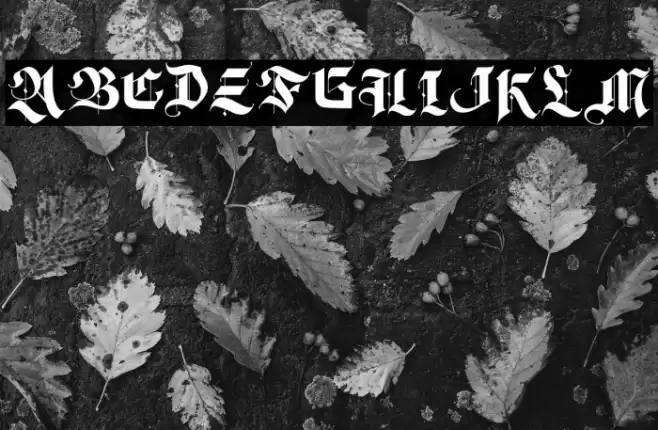 DecisionMaking-Regular Font examples