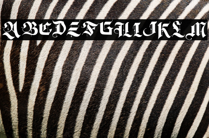 DecisionMaking-Regular Example 2