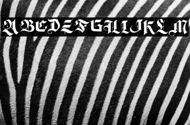 DecisionMaking-Regular Font examples