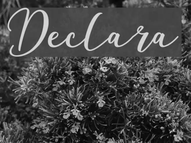 Declara Font examples