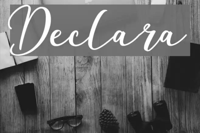 Declara Font examples